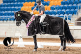 Black Show Rug with White Trim